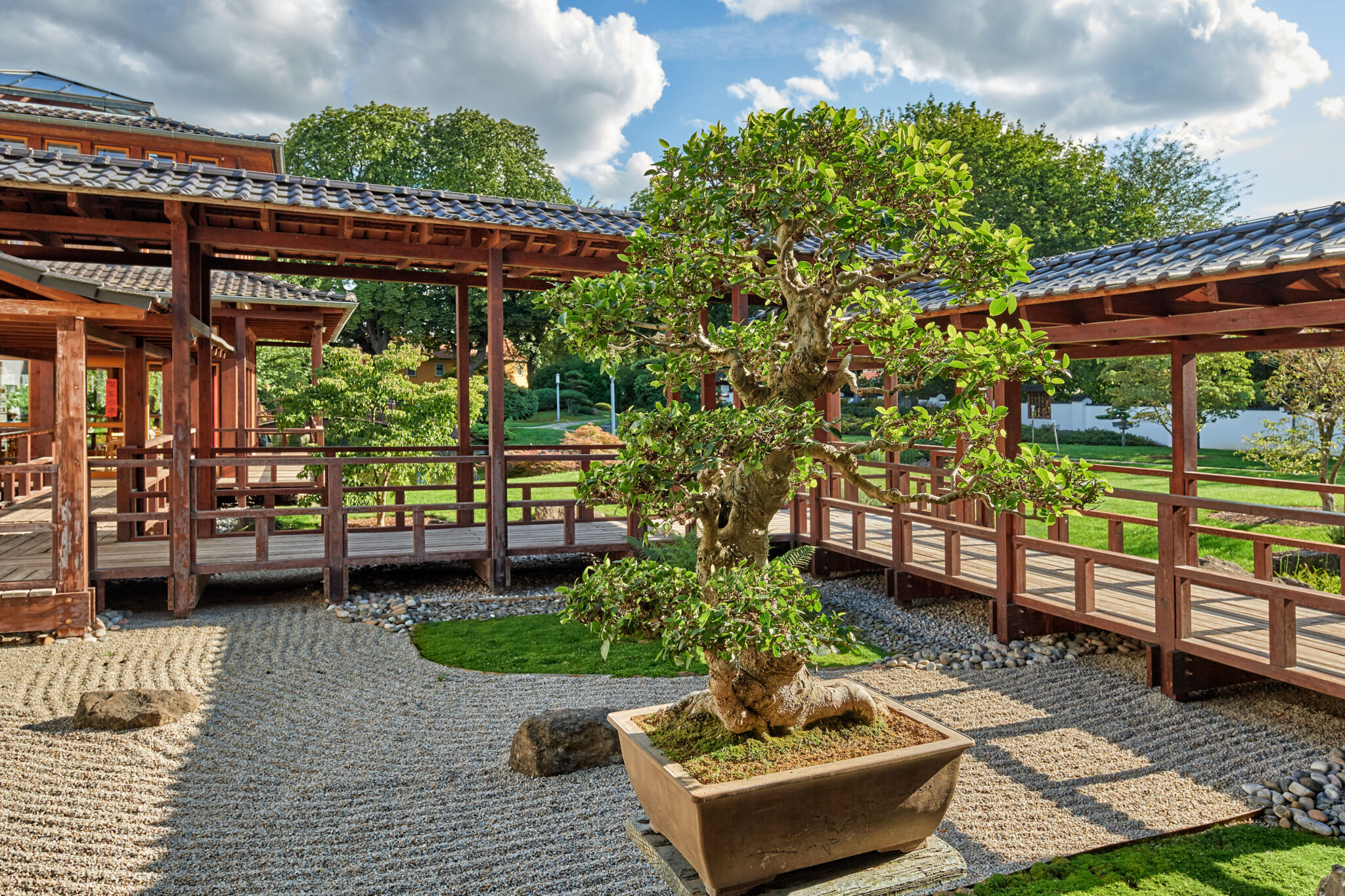 Blütezeit in Thüringen – Die Reise geht weiter | lounge.concerti.de